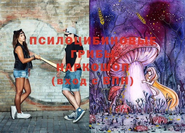 соль ск Абинск