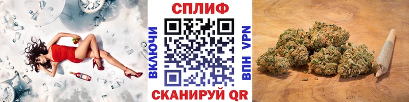 Шишки марихуана сатива дарнет шоп Щёкино